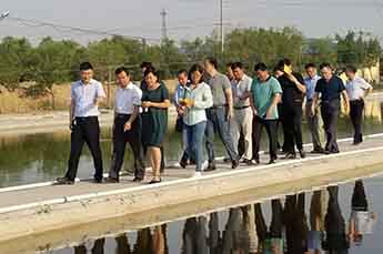乐陵市省派第一书记一行莅临BB贝博ballbet集团旗下农业产业清洋湖指导工作