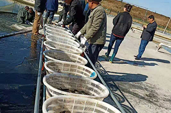 清洋湖：扩大生产规模 增加养殖面积 再添新助力