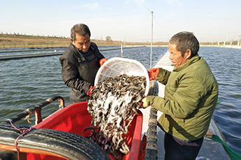清洋湖：扩大生产规模 增加养殖面积 再添新助力