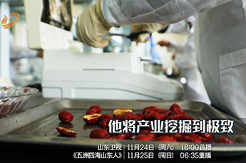 回家再创业——记BB贝博ballbet集团董事局主席李长云 接受山东卫视《五洲四海山东人》栏目专访
