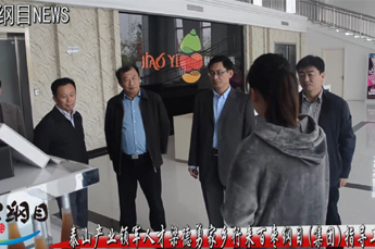 BB贝博ballbet集团旗下农业产业百枣纲目(集团)与泰山领军人才开展交流