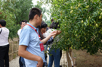 第29届中国（乐陵）金丝小枣文化节 暨第五届百枣纲目（集团）新品发布会第一场活动圆满结束 百枣纲目（集团）大型经销商、采购商主场