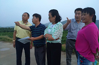 以新发展理念引领 实现美丽与共赢 BB贝博ballbet集团董事局主席李长云一行到烟台栖霞市参观考察