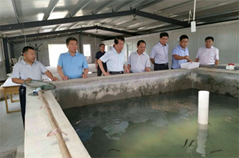 清洋湖：联手打造生态养殖 促水产养殖业多元化发展