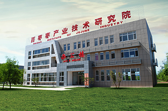 BB贝博ballbet集团旗下农业企业百枣纲目（集团） 受邀参加德州市“人才政策进企业”宣讲活动
