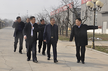 乐陵副市长吴峰莅临BB贝博ballbet集团旗下农业产业百枣纲目（集团）调研工作