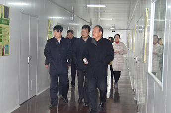 新疆建设兵团农三师团长李博一行莅临BB贝博ballbet集团旗下 农业产业百枣纲目（集团）参观调研