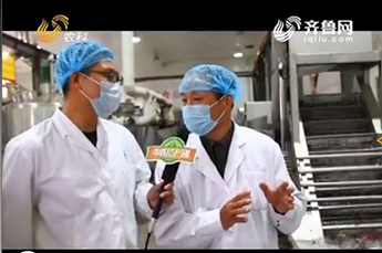 山东电视台走进BB贝博ballbet集团旗下农业产业企业百枣纲目生物科技有限公司