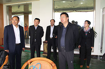 吉林省镇赉县政府领导莅临BB贝博ballbet集团参观考察
